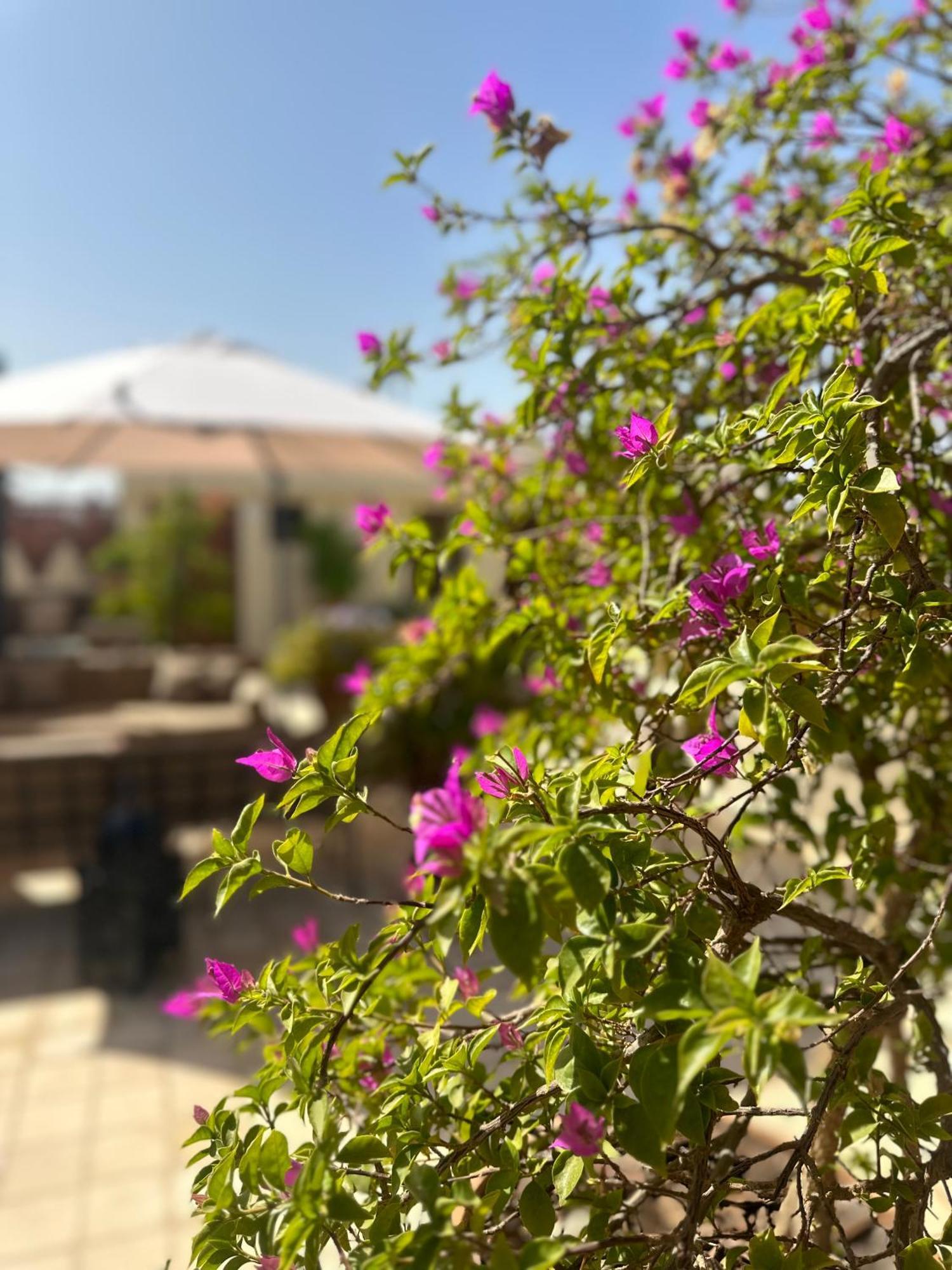 La Claire Fontaine Hotel Marrakesh Exterior photo