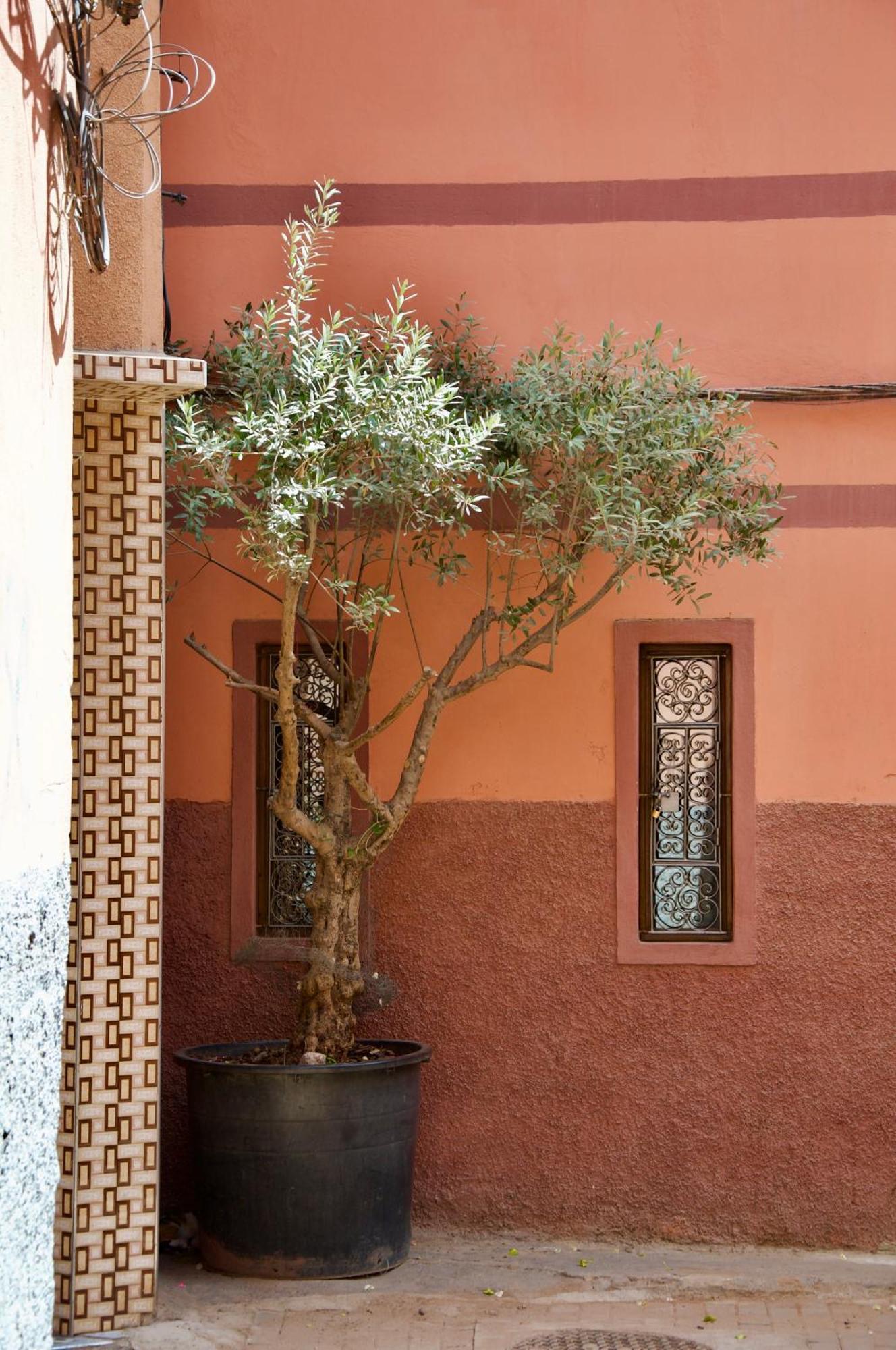 La Claire Fontaine Hotel Marrakesh Exterior photo